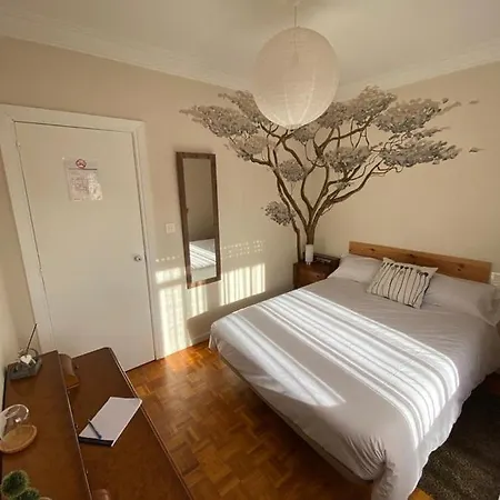 Vut Carmen Apartment Burgos